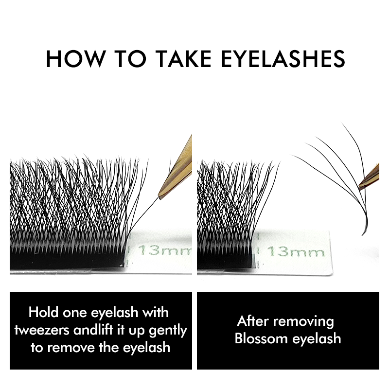 NATUHANA W-รูป 4D 5D Volume Ey - Eyelash Extension Human Hair บทวิจารณ์และราคา